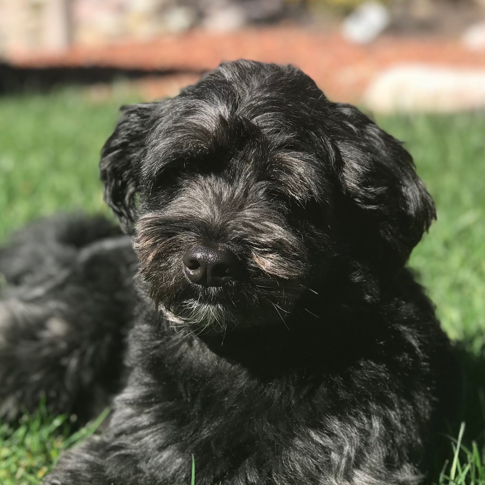 Meet your Posher, Andrea